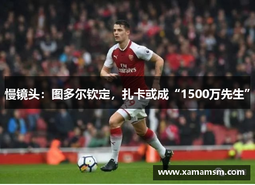 慢镜头：图多尔钦定，扎卡或成“1500万先生”